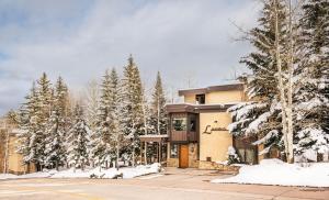 um edifício com árvores cobertas de neve em frente em Laurelwood Condominiums 304 em Snowmass Village