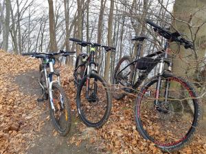 two bikes parked next to a wall in the woods at Nadmorska Ostoja z prywatnym miejscem postojowym in Pogórze