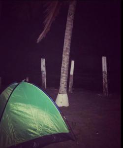 Foto sihtkohas Puerto Cortes asuva majutusasutuse Hostal Rudy's Beach galeriist