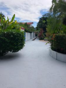 a walkway leading to a house with plants at La Perlita in Jacó