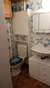 uma casa de banho com um WC e um lavatório em Studio les Houches. Vallée de Chamonix em Les Houches