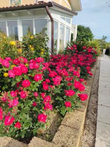 CossignanoにあるResidenza delle Grazieの家の前の赤花園