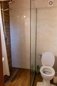 a bathroom with a toilet and a glass shower at Privat Bajka 2 in Spišské Bystré