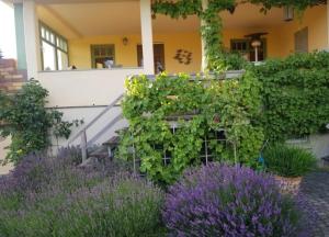 un jardín frente a una casa con flores púrpuras en Ferienhaus Schiller en Waren