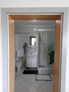 a bathroom with a toilet and a sink at Big Blue - Xenija (Veliko Plavetnilo - Ksenija) in Metajna