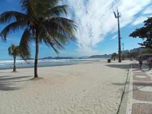 a beach with a palm tree and the ocean at Rota 013 - Santos Canal 4 in Santos