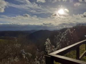 a view of the sun from a hill with flowers at Haus S.E.E. in Marienthal