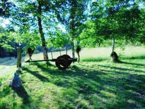 un objeto grande sentado en la hierba bajo un árbol en O Chaleciño, en Samos
