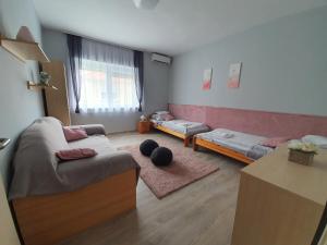 sala de estar con sofá y 2 camas en Flamingo Apartment, en Sárvár