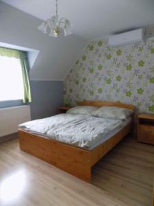 ギェネシュディアーシュにあるApartment in Gyenesdias/Balaton 33084のベッドルーム1室(ベッド1台、シーリングファン付)