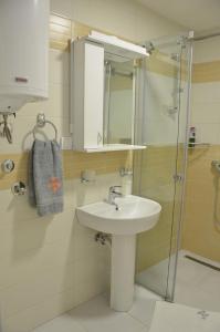 y baño con lavabo y ducha. en Apartman Rajak, en Vrnjačka Banja