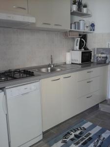 Kuchyňa alebo kuchynka v ubytovaní Studio Apartment in Hvar Town with Balcony, Air Conditioning, Wi-Fi, Dishwasher (4858-1)