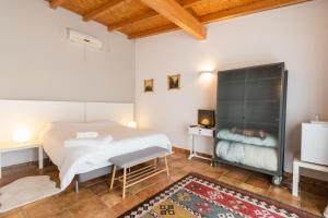 1 dormitorio con 1 cama y TV en una habitación en MontePico, en Grândola