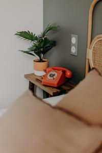 a red phone sitting on a table next to a plant at Hôtel PALMITO in Biarritz