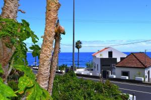 a palm tree and a house with the ocean in the background at Lazy Lizard by the Ocean in Seixal