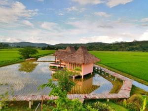 a house in the middle of a rice field at Baan Porhdoi Goidao in Chiang Dao