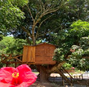 a tree house in the middle of a tree at Eco-Glamping Shalom in Mariquita