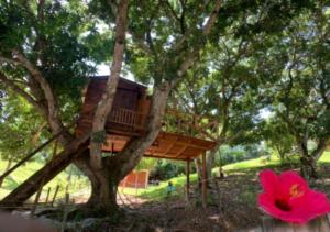a tree house in a tree with a pink flower at Eco-Glamping Shalom in Mariquita