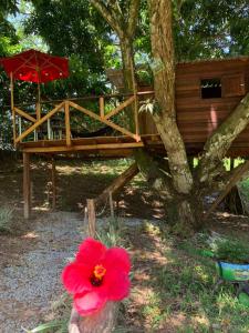 a red flower in a vase next to a tree at Eco-Glamping Shalom in Mariquita