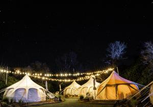 a group of tents in a field with lights at The Cove Jervis Bay in Jervis Bay Village