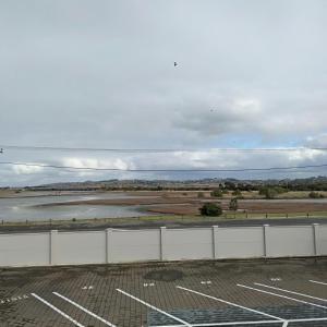 a parking lot with a view of a body of water at Albatross Motel in Napier