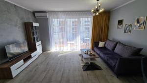 salon z kanapą i telewizorem w obiekcie Apartament DeLuxe 3 w Oświęcimiu