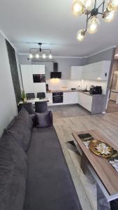 Χώρος καθιστικού στο Apartament DeLuxe 3