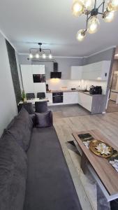 a living room with a couch and a table at Apartament DeLuxe 3 in Oświęcim