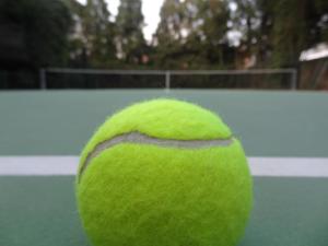 Tennis eller squash på eller i nærheten av Villa Bottini La Limonaia