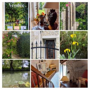 a collage of photos of flowers and plants at Gîte La Cibulle in Maillé