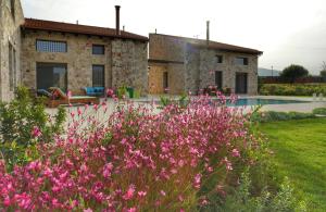 a garden with pink flowers in front of a house at Villa Evinoi in Pallini