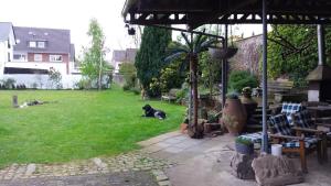 un gato negro tirado en la hierba en un patio en Apartment Idyle, en Bornheim