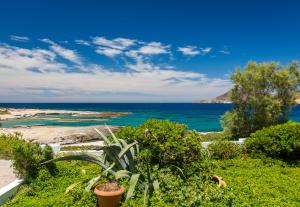 a view of the ocean from a garden at APOLLON by Akroploro in Pollonia