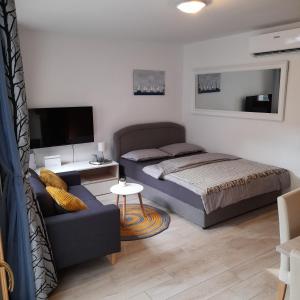 een slaapkamer met een bed, een bank en een tv bij App Hedonist in Novigrad Istria