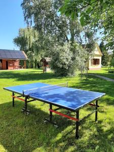 a ping pong table in the grass in a yard at Márfi vendégház in Magyarszerdahely