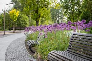 Vonkajšia záhrada v ubytovaní A może Mazury