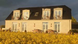 una gran casa blanca con muchas ventanas en Roskilde B&B, en Gadstrup