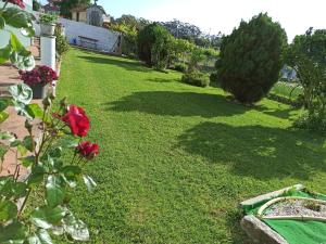 un patio con césped verde con una rosa roja en Casa Los Geranios, en Pontevedra