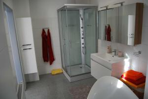 La salle de bains est pourvue d'une douche, de toilettes et d'un lavabo. dans l'établissement Ferienwohnung Polzer, à Hörmanns bei Weitra