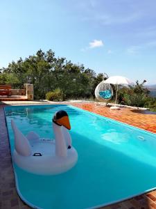 a duck floating in a swimming pool at Villa Magnolia in Radanovići