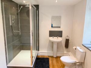 a bathroom with a shower and a toilet and a sink at Stiniog Lodge in Blaenau-Ffestiniog +7 photos