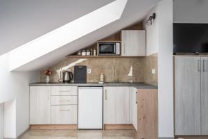 Kuchyňa alebo kuchynka v ubytovaní City Center Apartments Lofty z klimatyzacją