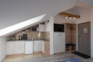 Kuchyňa alebo kuchynka v ubytovaní City Center Apartments Lofty z klimatyzacją