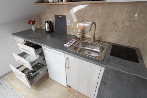 Kuchyňa alebo kuchynka v ubytovaní City Center Apartments Lofty z klimatyzacją