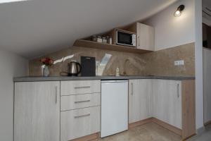 Kuchyňa alebo kuchynka v ubytovaní City Center Apartments Lofty z klimatyzacją
