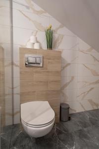 Kúpeľňa v ubytovaní City Center Apartments Lofty z klimatyzacją