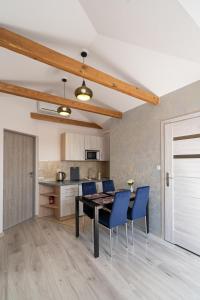 Kuchyňa alebo kuchynka v ubytovaní City Center Apartments Lofty z klimatyzacją