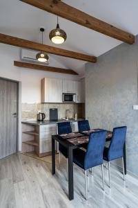 Kuchyňa alebo kuchynka v ubytovaní City Center Apartments Lofty z klimatyzacją