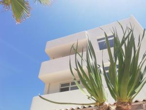 un bâtiment blanc avec une usine devant lui dans l'établissement Apartamentos Ibiza, à Colonia Sant Jordi