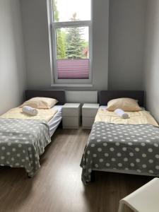 Postel nebo postele na pokoji v ubytování Hostelik Przy Przystanku